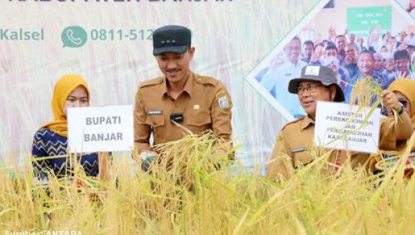 Bupati Banjar Minta Petani Untuk Perhatikan Cuaca Ketika Ingin Bercocok Tanam
